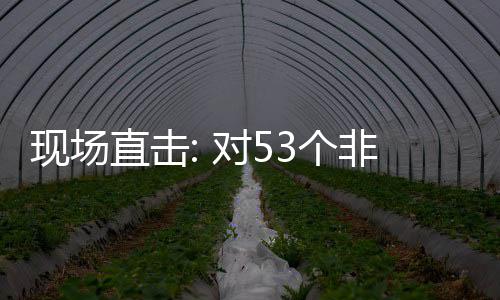 面实直击货物通关全国3个国全关税现场建交对5非洲施零首票深圳