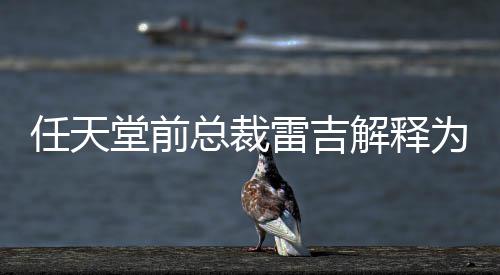 不打任天任天为何总裁折乎从堂前堂游雷吉戏几解释