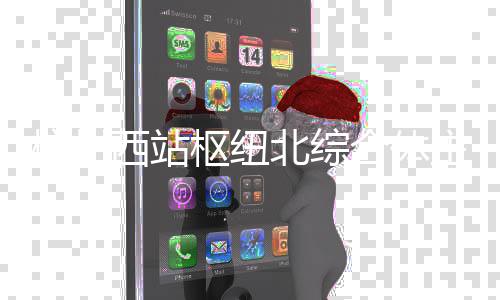 北综主体杭州合体西站结构封顶枢纽