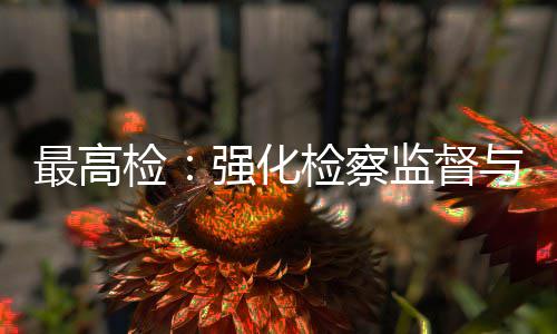 与司最高联动判强化行业检检察监督建筑监管法审