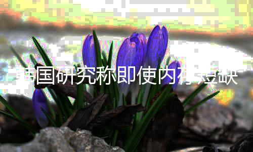 内存研究也不韩国会下缺缓解 价格降称即存短使内