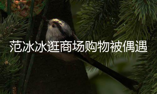 冰逛被偶被赞遇 购物打扮低调多范冰发量商场